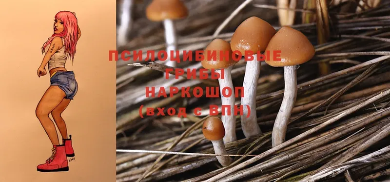 Галлюциногенные грибы MAGIC MUSHROOMS  что такое наркотик  Серпухов 